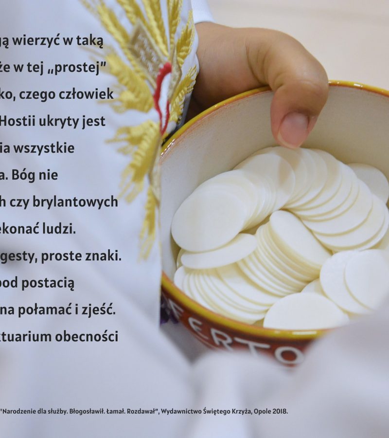 Święto rocznicy poświęcenia Bazyliki Laterańskiej – 9 Listopad 2025 r.