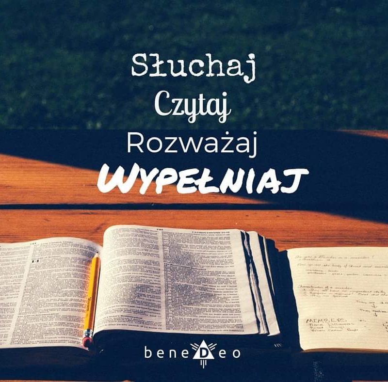 15 Niedziela Zwykła – 12 Lipiec 2026 r.